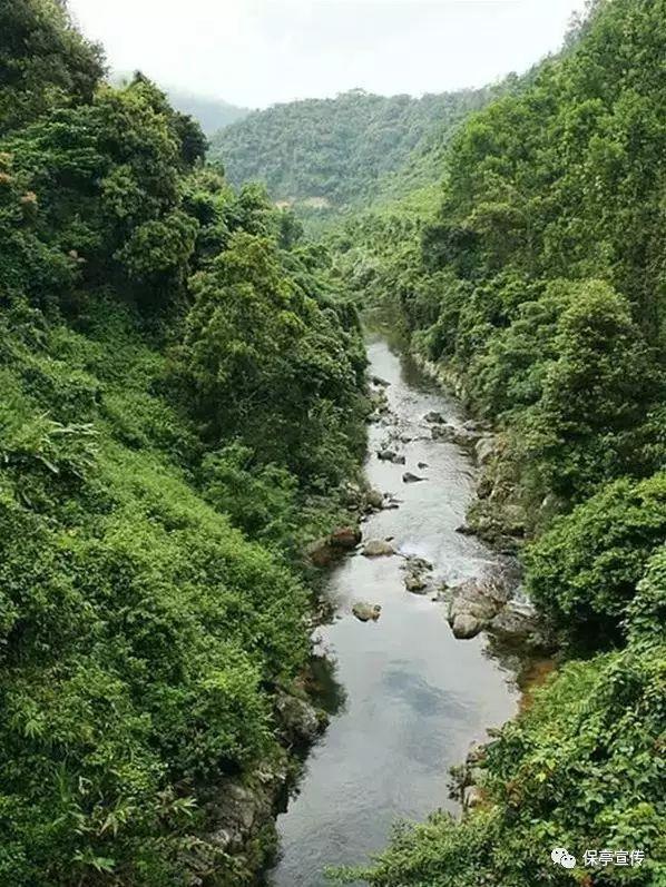 采贝一站式职业培训教育平台-最佳问答网站